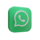 WhatsApp social icon